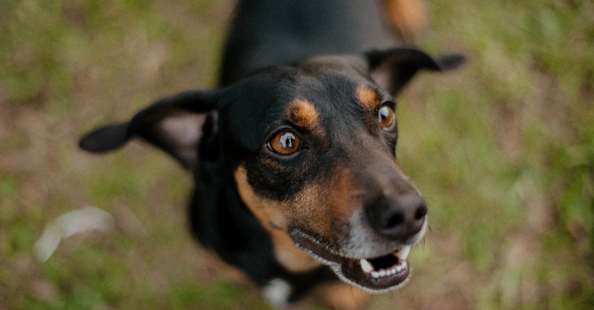慶祝2025國際護師節 致敬白衣天使守護植物人尊嚴