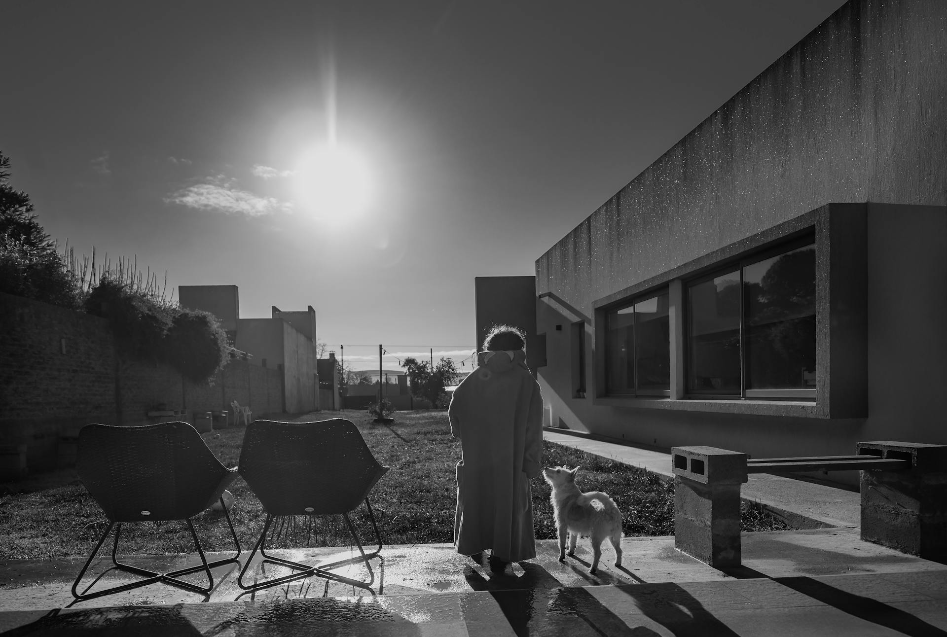 A child and dog silhouetted against the sun in a modern backyard setting.