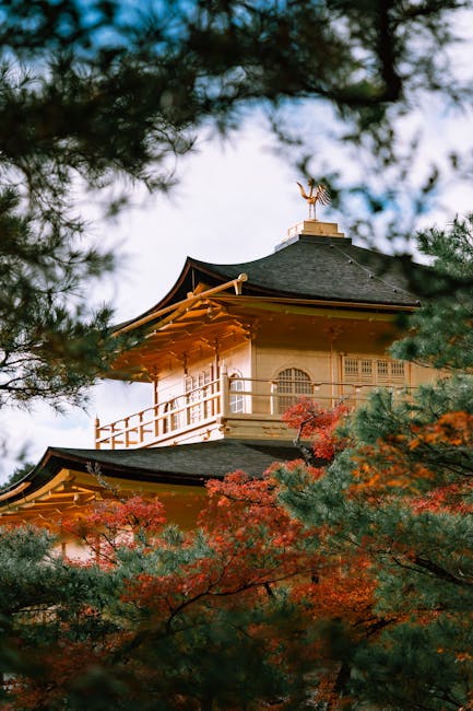 Where to buy Japan Gold in Osaka! | JM Banquicio Where to buy Japan Gold in Osaka! | JM Banquicio