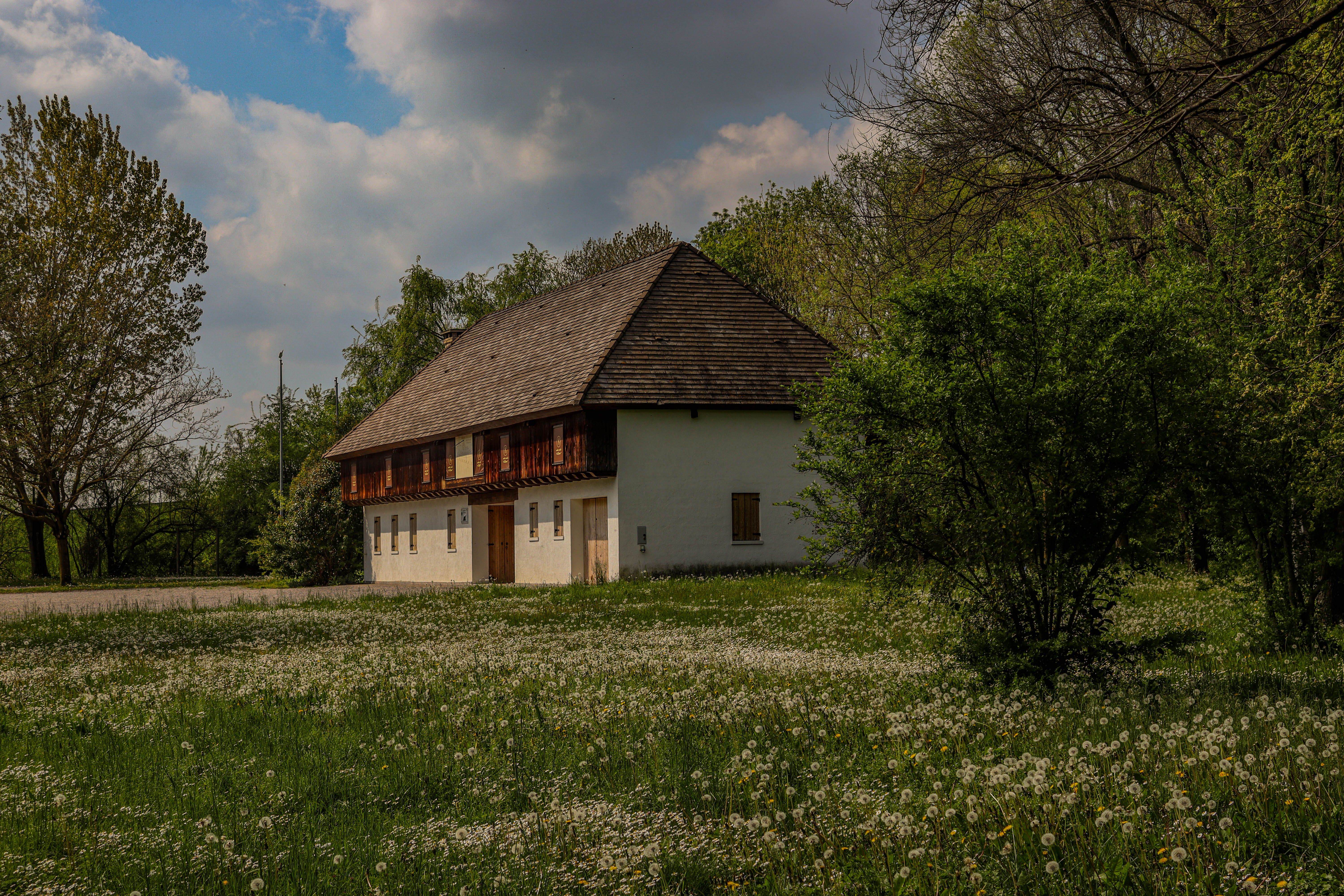 Traditionelles Schwarzwaldhaus zwischen grünen Wiesen