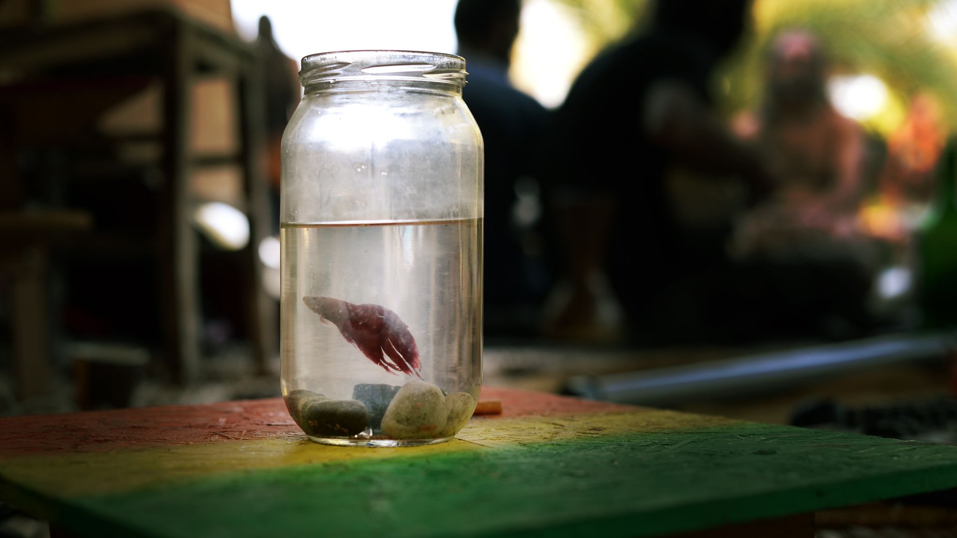 A Betta fish in a glass jar surrounded by blurred figures in a dim setting.