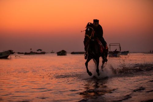 Free Silhouetted man rides horse on beach at sunset with boats in background. Stock Photo