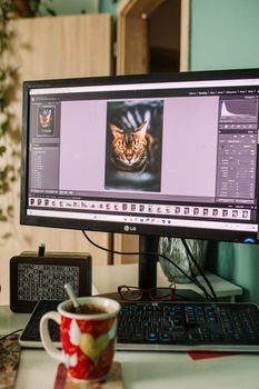 Photo on a desktop monitor edited in Lightroom, featuring a Bengal cat.