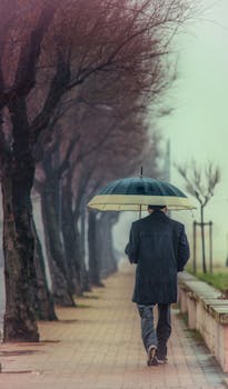 Man walking under umbrella on rainy day along tree-lined path.