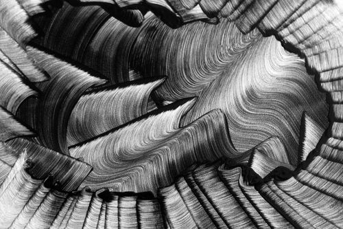 Free Captivating black and white abstract artwork with fluid curves and textures. Stock Photo