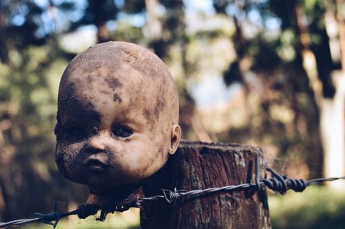 Free A weathered doll head sits on a barbed wire fence in a mysterious outdoor setting. Stock Photo