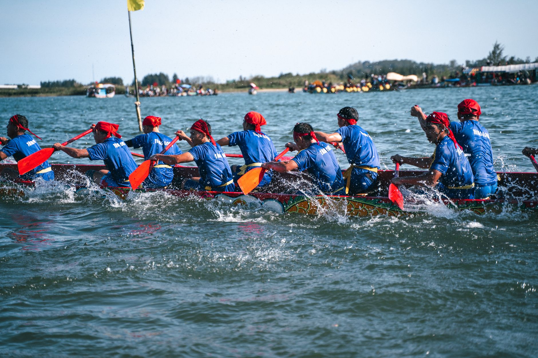 Ruderregatta auf dem Rhein