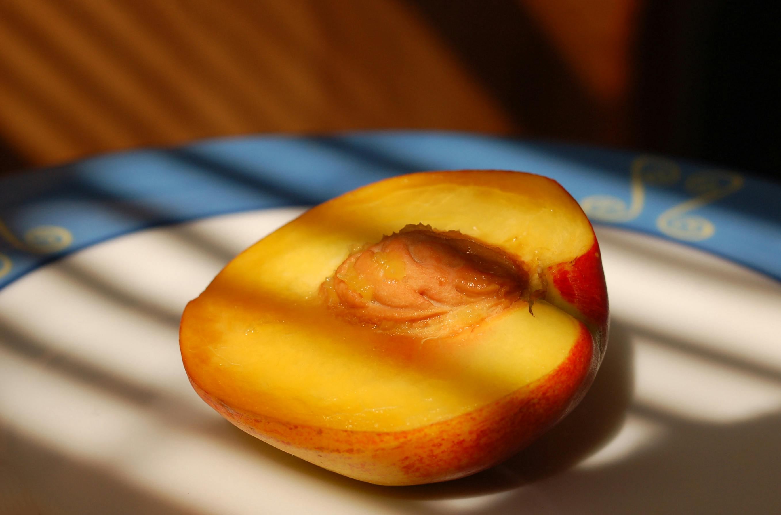 Closeup of a half peach on a plate with natural sunlight and shadows, indoors in Brazil.