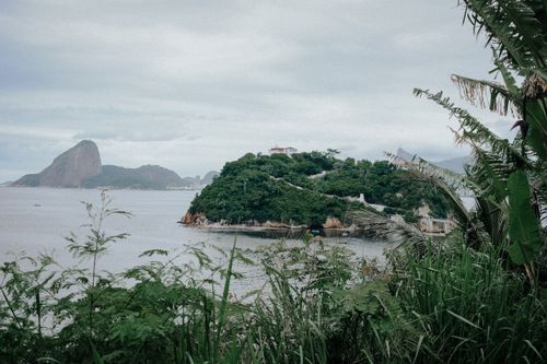 Free Lush greenery and waterfront view of Niterói with iconic Sugarloaf Mountain in the background. Stock Photo