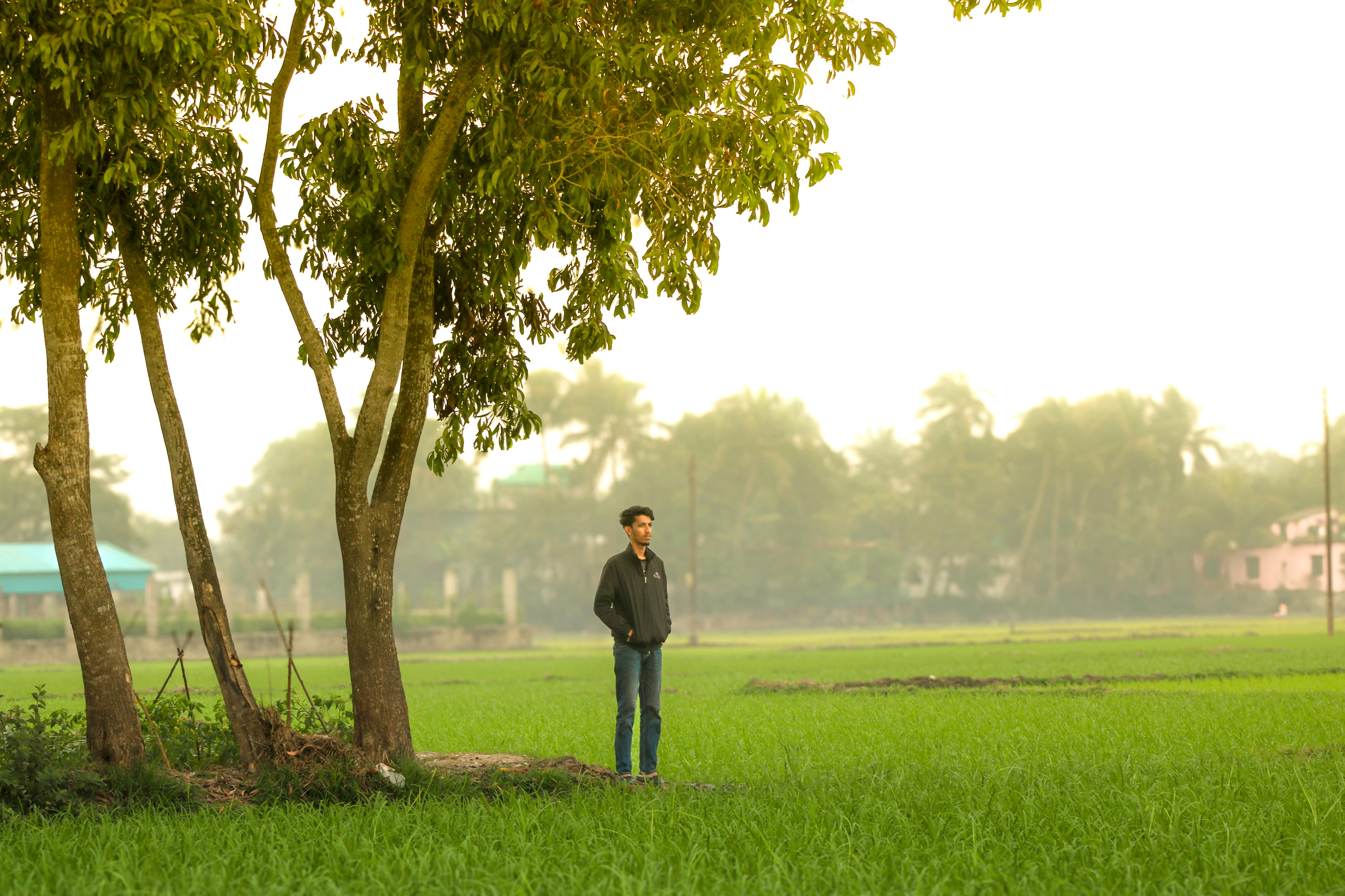 A serene scene of a young man standing in a green field under a tree in Bangladesh.