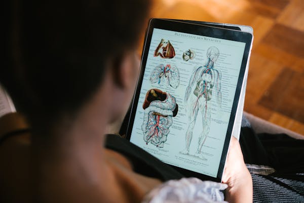 學生專注學習中文