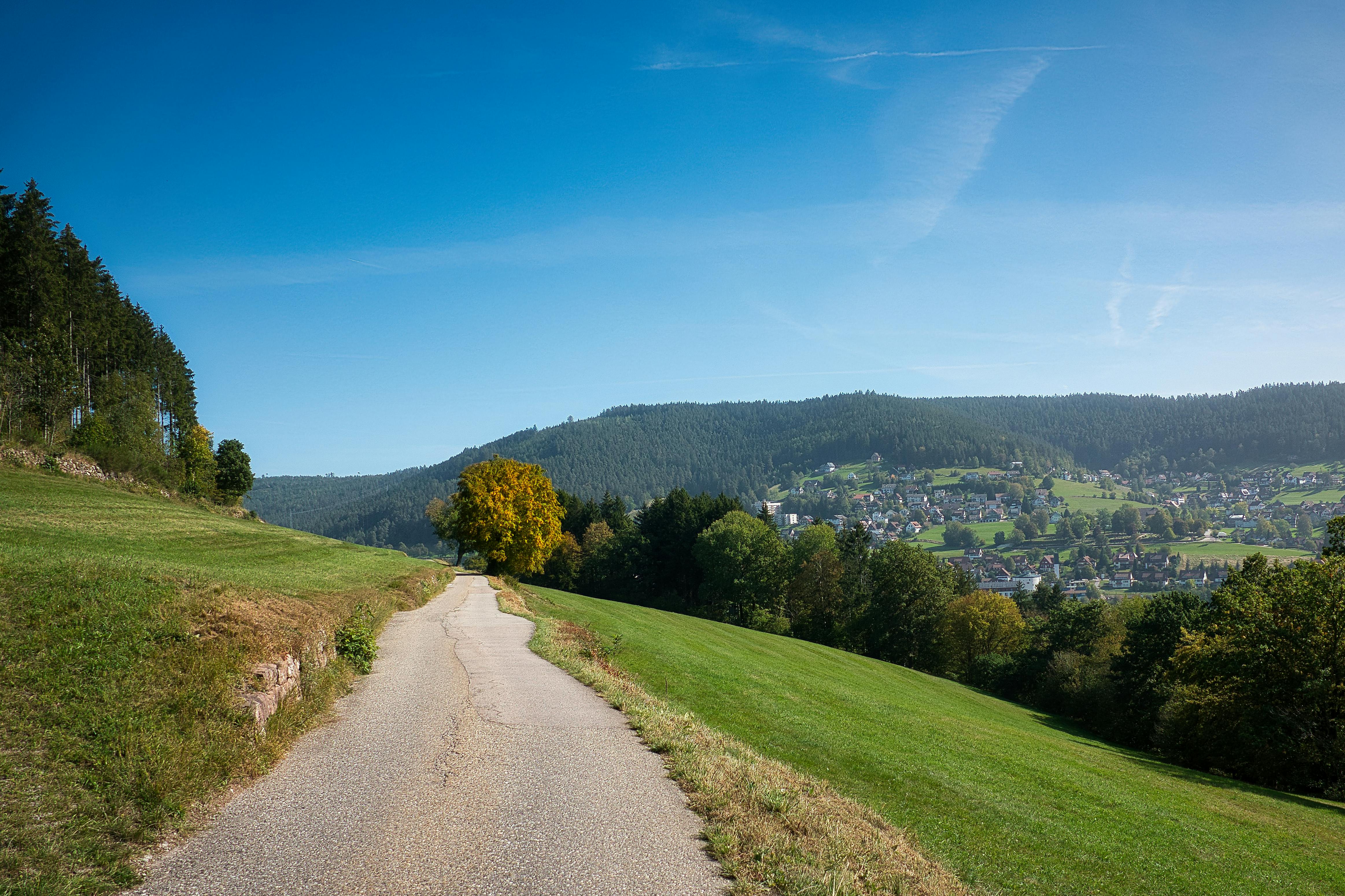 A tranquil rural road leading through green hills with a view of Baiersbronn, Germany.