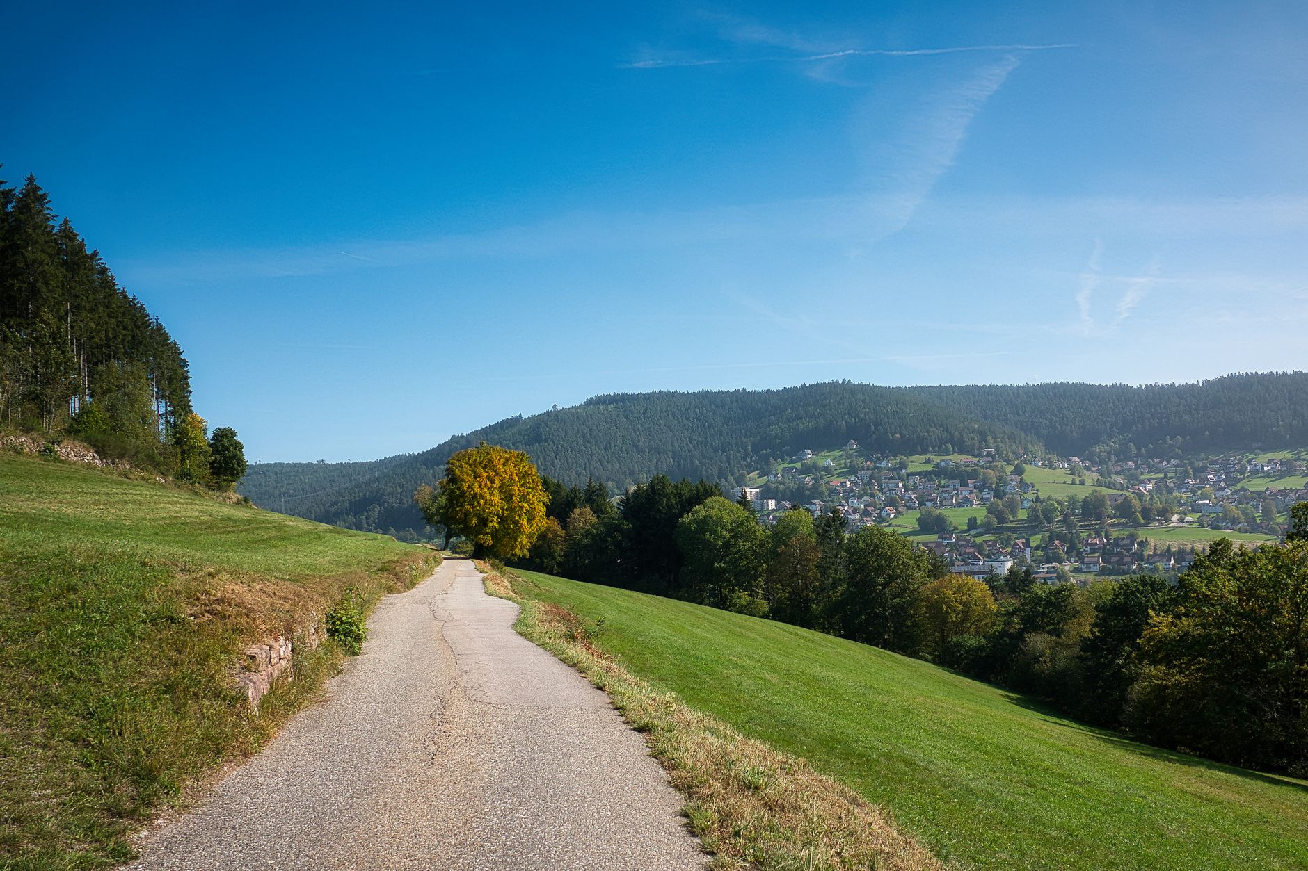 A tranquil rural road leading through green hills with a view of Baiersbronn, Germany.