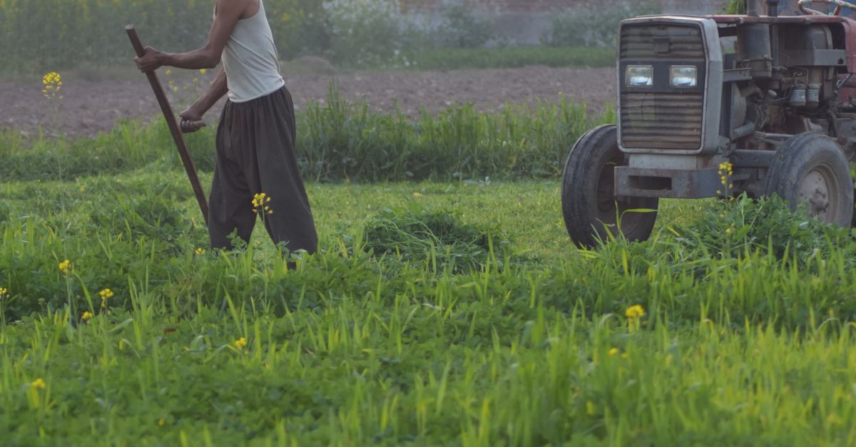 Las 15 innovaciones agrícolas que evitaron crisis alimentarias masivas Las 15 innovaciones agrícolas que evitaron crisis alimentarias masivas