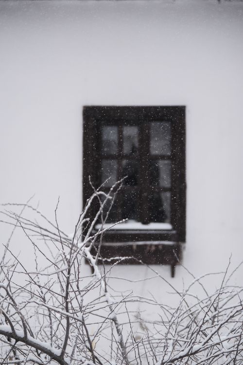 Snowfall on Bare Branches and Rustic Window Scene · Free Stock Photo