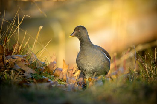 Glean: Startup AI yang Nyaris Bikin Jantungan dengan Nilai Valuasi $7.2B - glean: 1