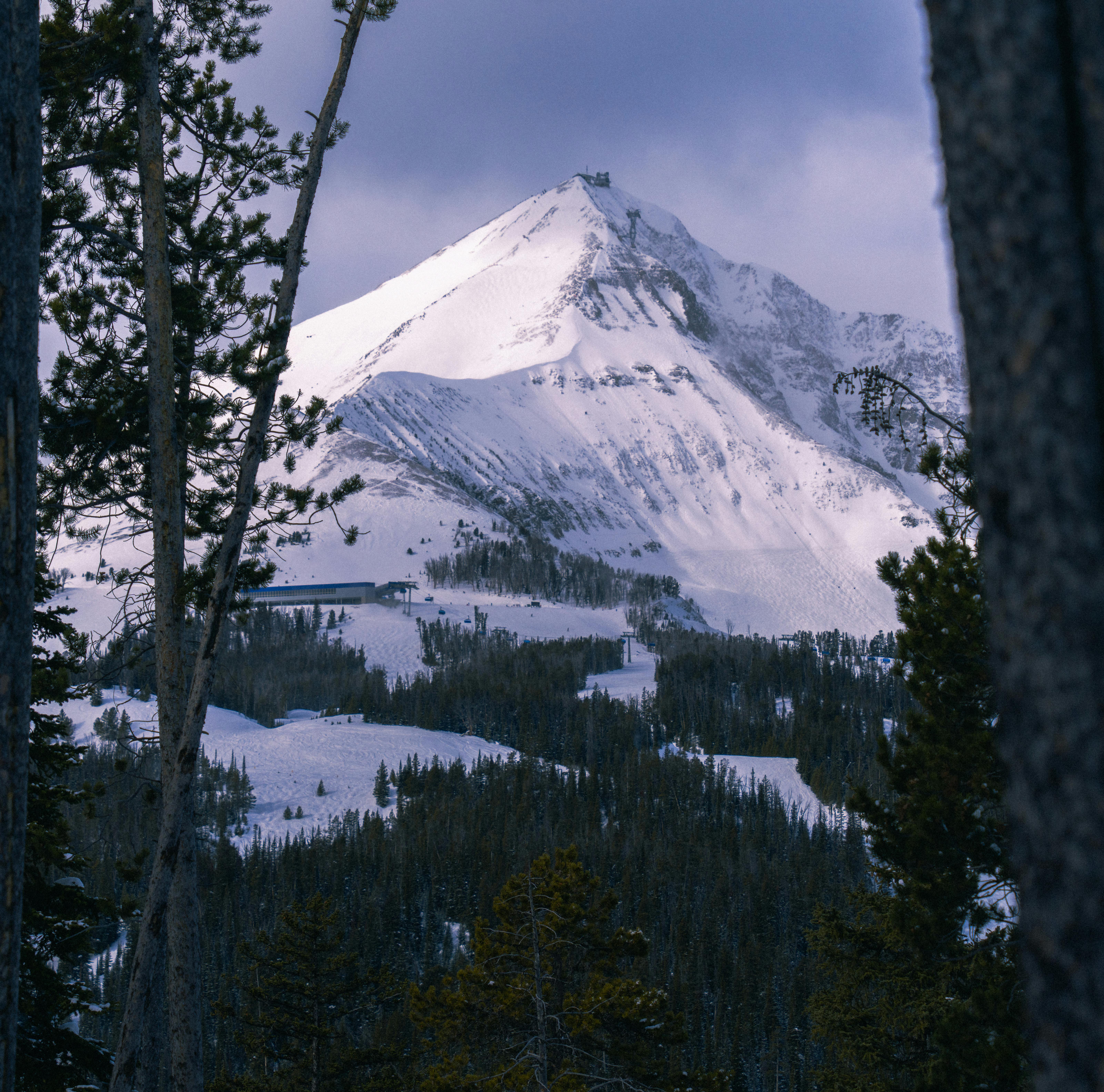 Scenic winter view of a snow-covered mountain peak surrounded by forest.