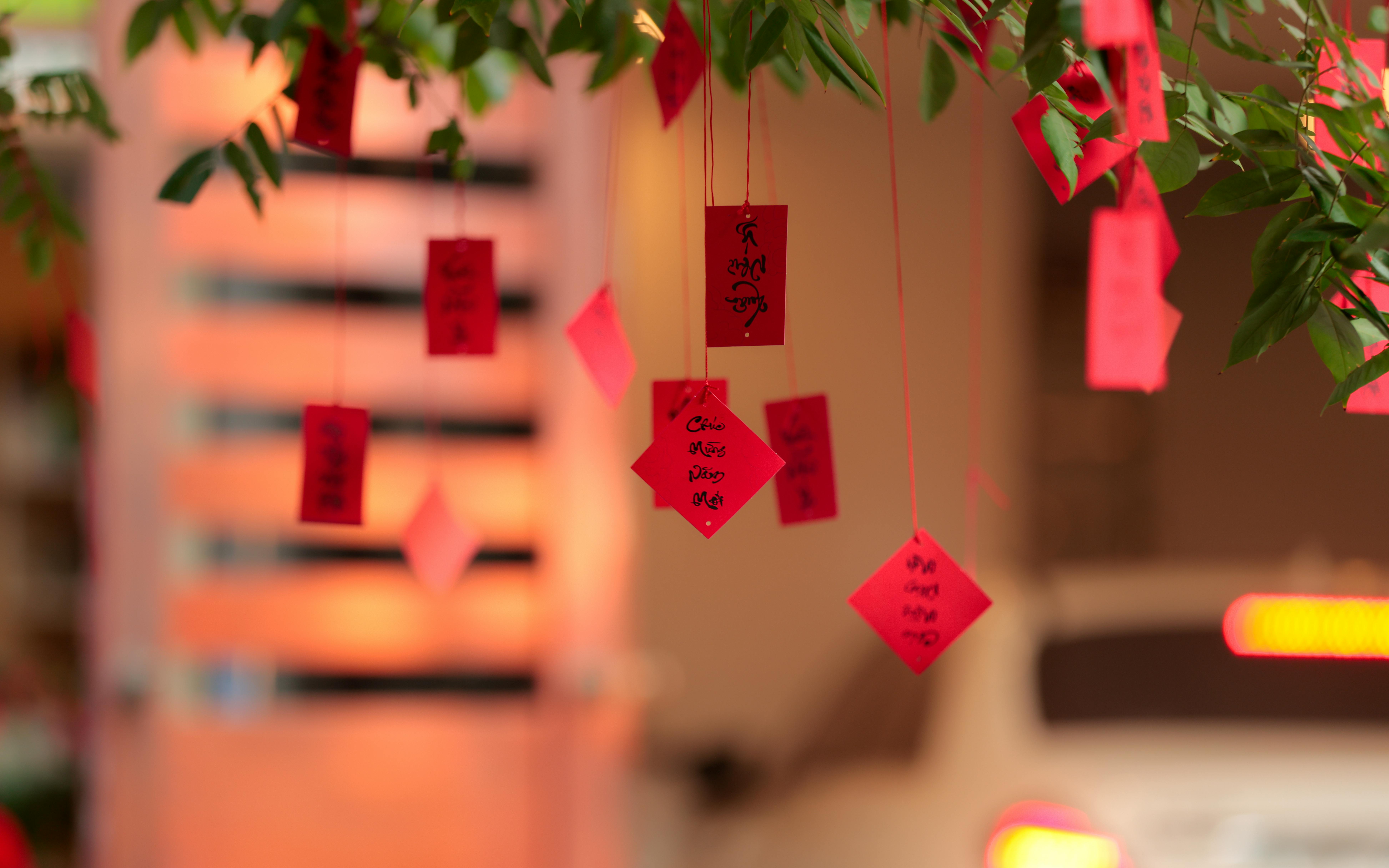 Red tags with wishes hang from a tree branch, creating a festive outdoor scene.