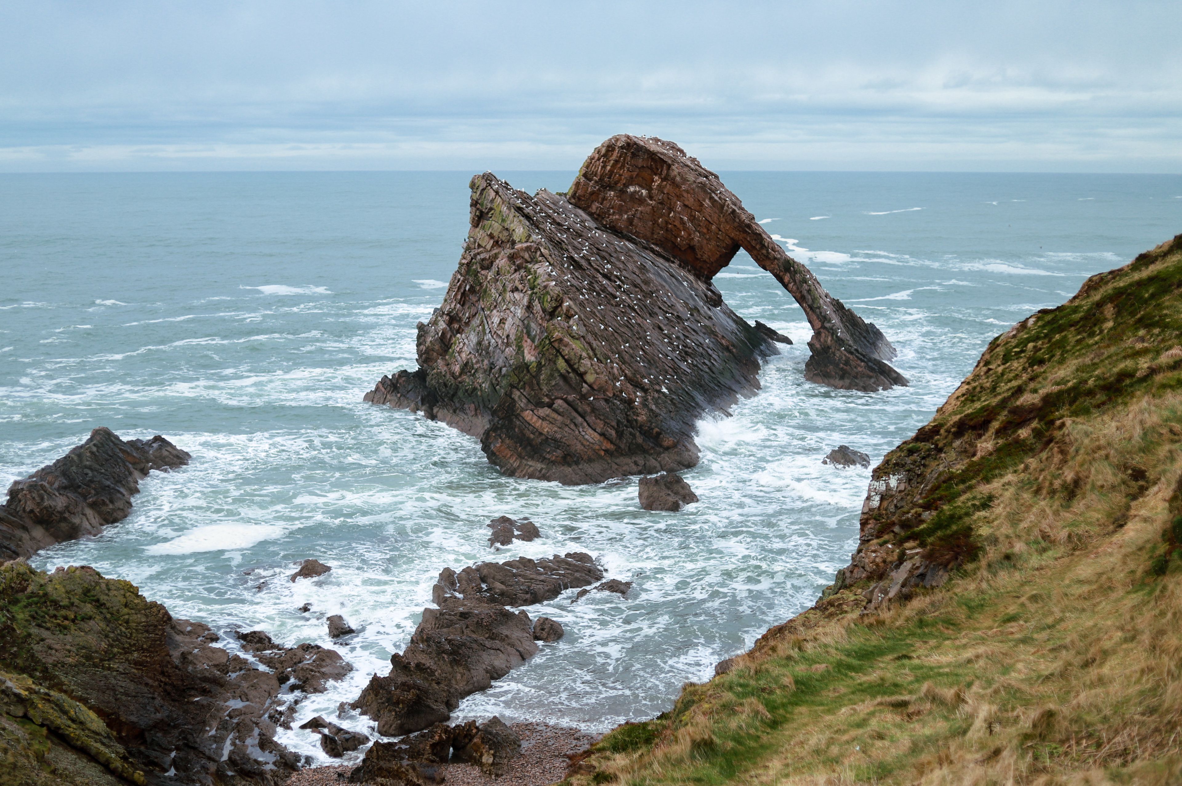 Majestic Bow Fiddle Rock at Scottish Coastline · Free Stock Photo