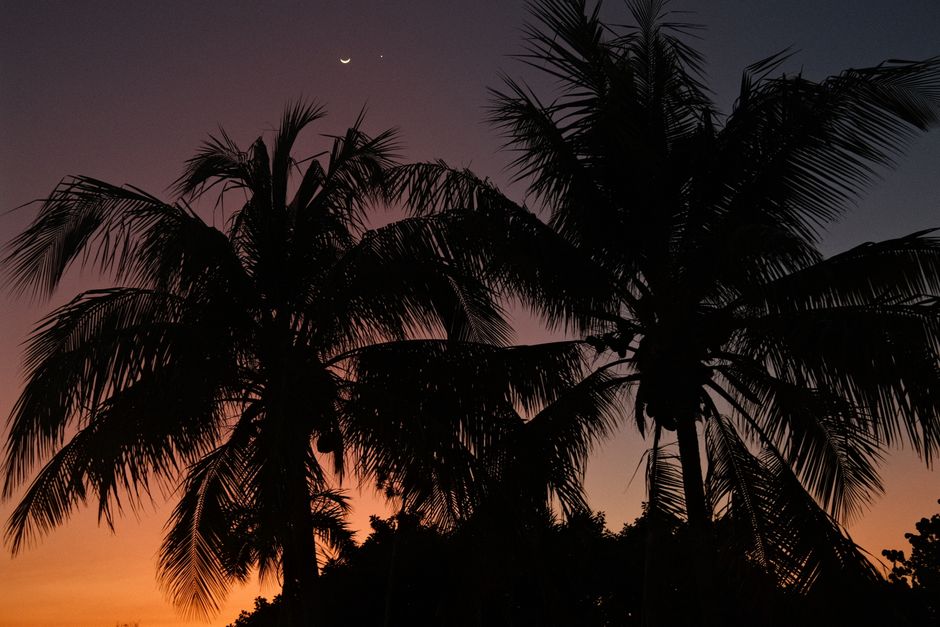 Beautiful silhouette of palm trees against a vibrant twilight sky.
