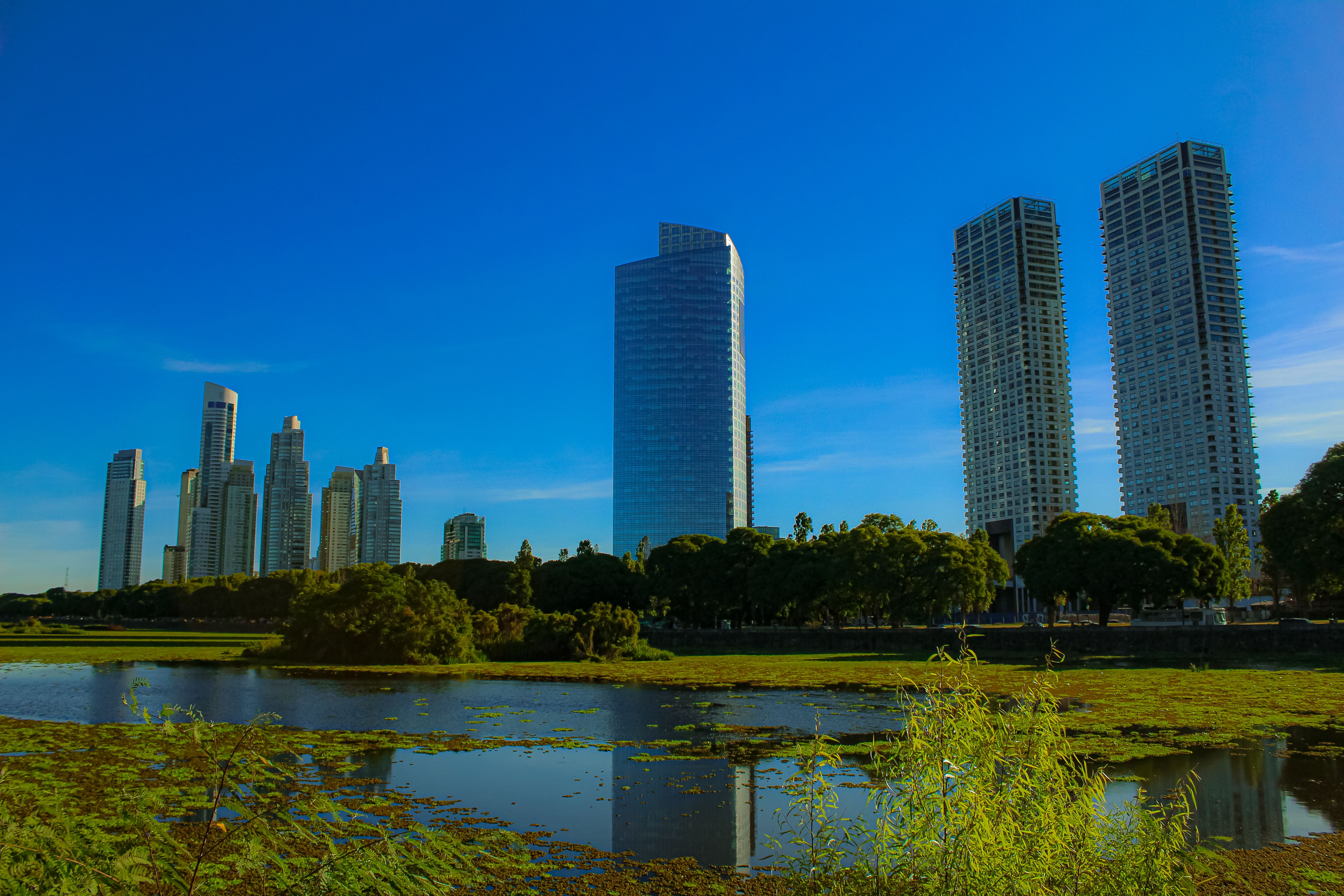 modern-skyline-of-buenos-aires-under-blue-sky-free-stock-photo