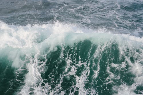 Free Big Waves Crashing Stock Photo