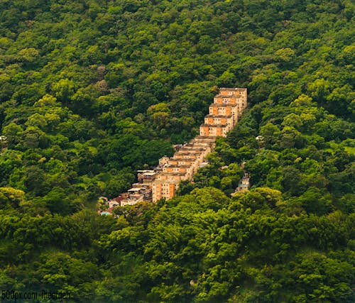 Bâtiments Sur Une Montagne Entourée D'arbres