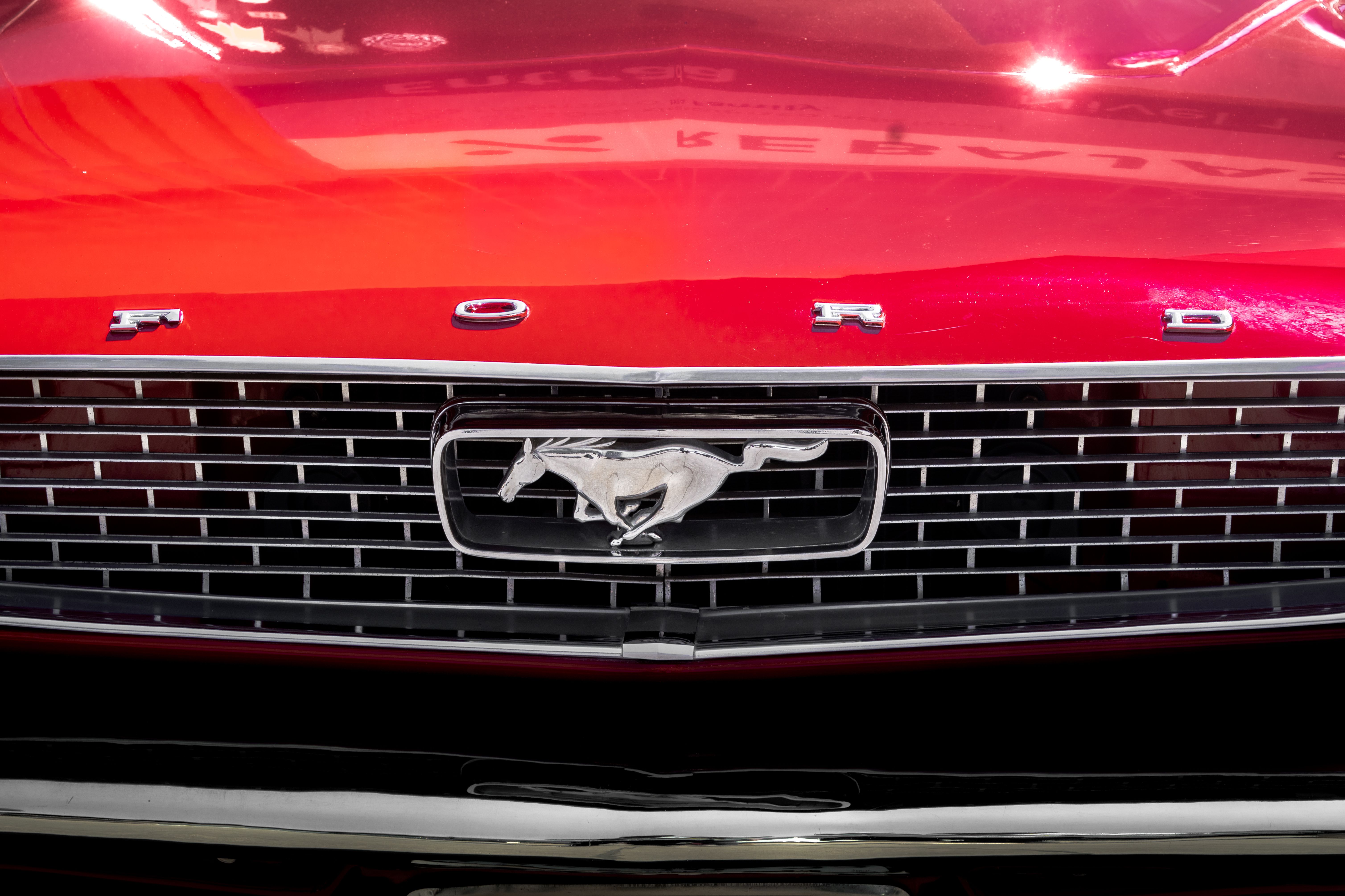 MUSTANG PARTNERS AND LEARFIELD NAME KYLE BEATRICE ROBBINS GENERAL MANAGER OF MUSTANG SPORTS PROPERTIES — Photo by Elchino por