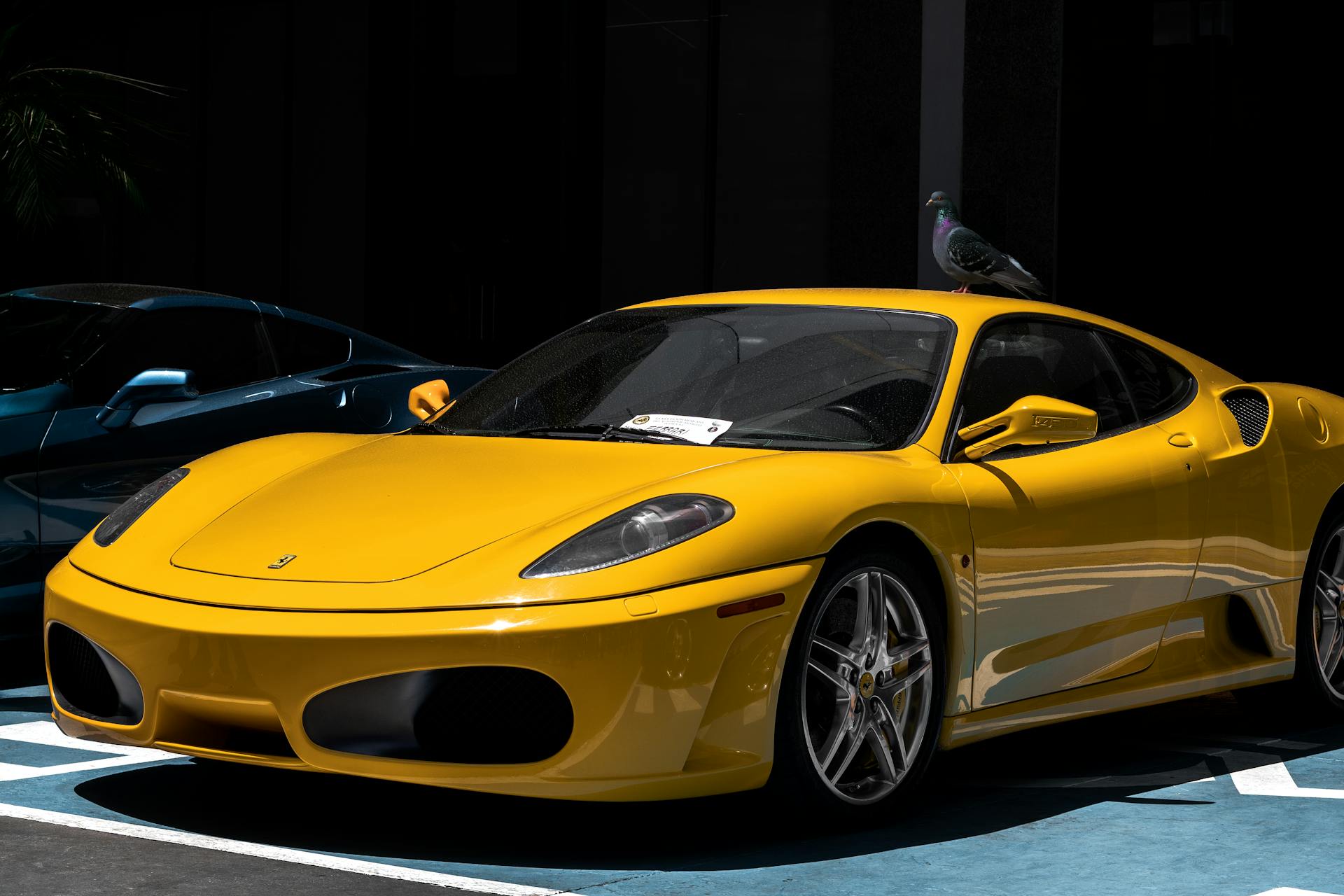 Yellow exotic sports car parked outdoors with a pigeon perched on top under bright sunlight.