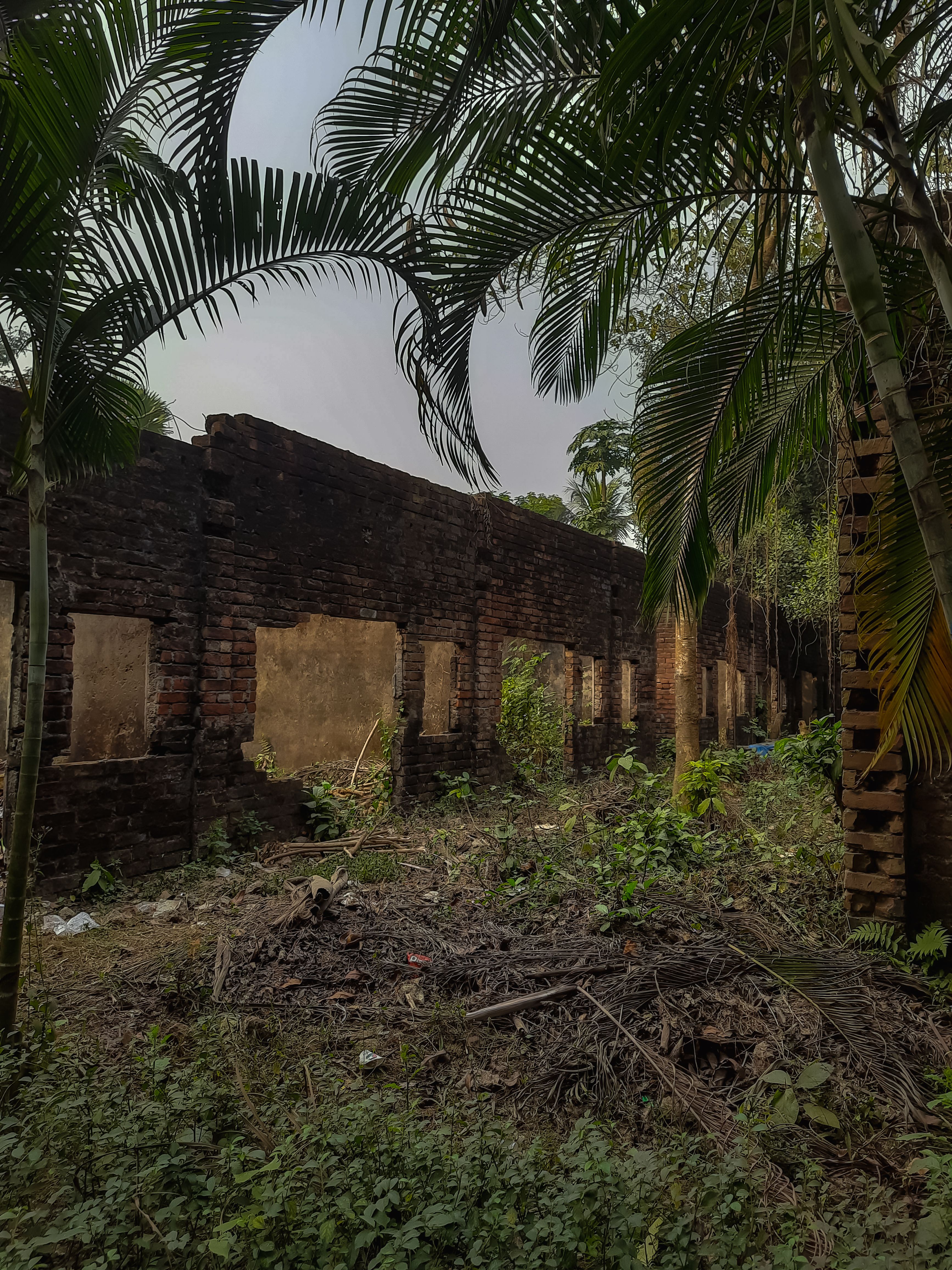 Eerie abandoned stone ruins surrounded by lush jungle vegetation.