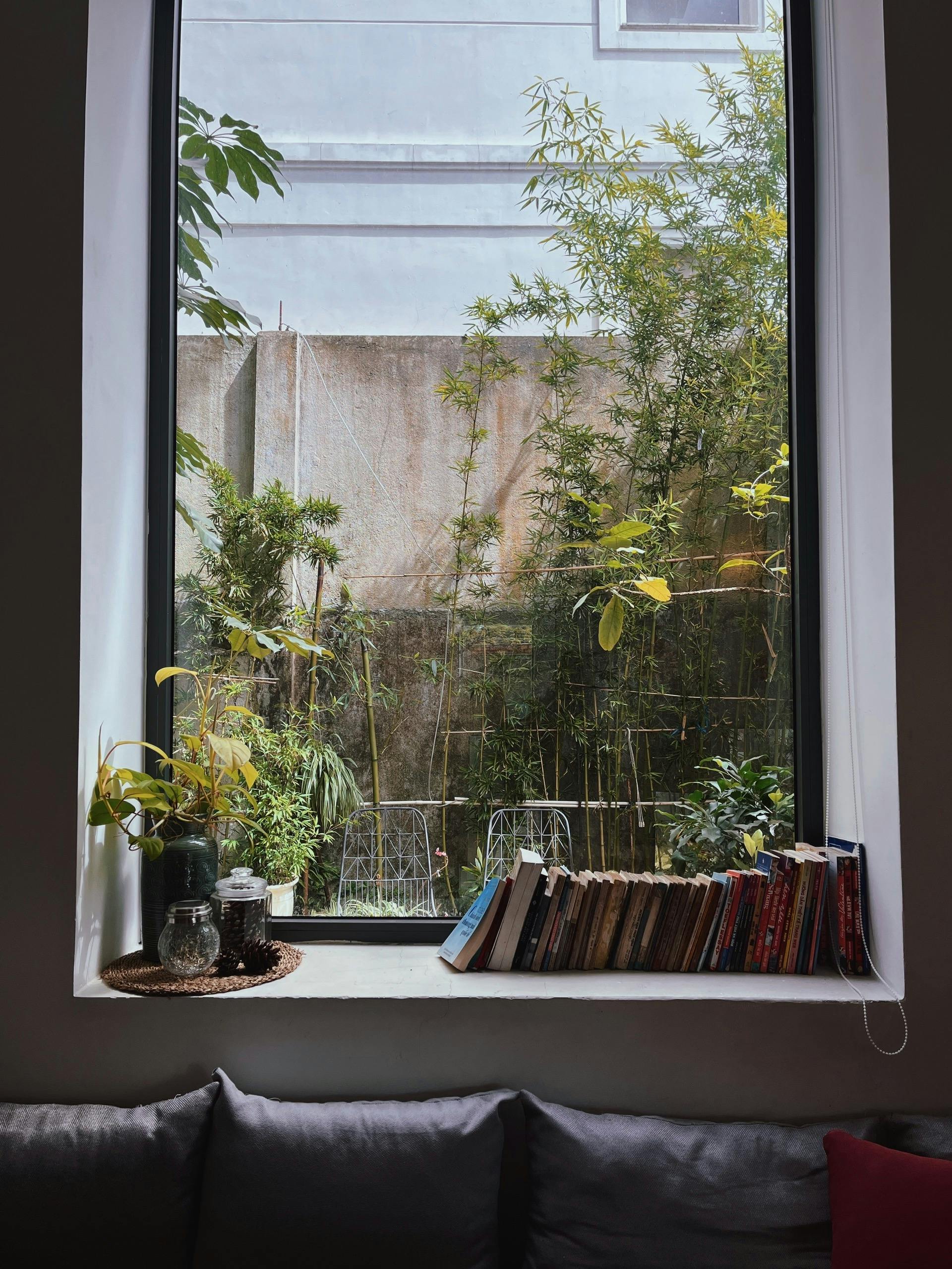 serene window view with lush green garden and books