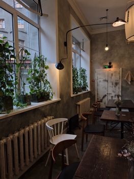 Ambient cafe interior with potted plants, cozy seating, and natural light.