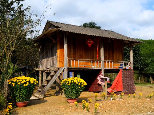 Free A beautiful traditional wooden house surrounded by lush greenery and flowers in Quảng Bình, Vietnam. Stock Photo