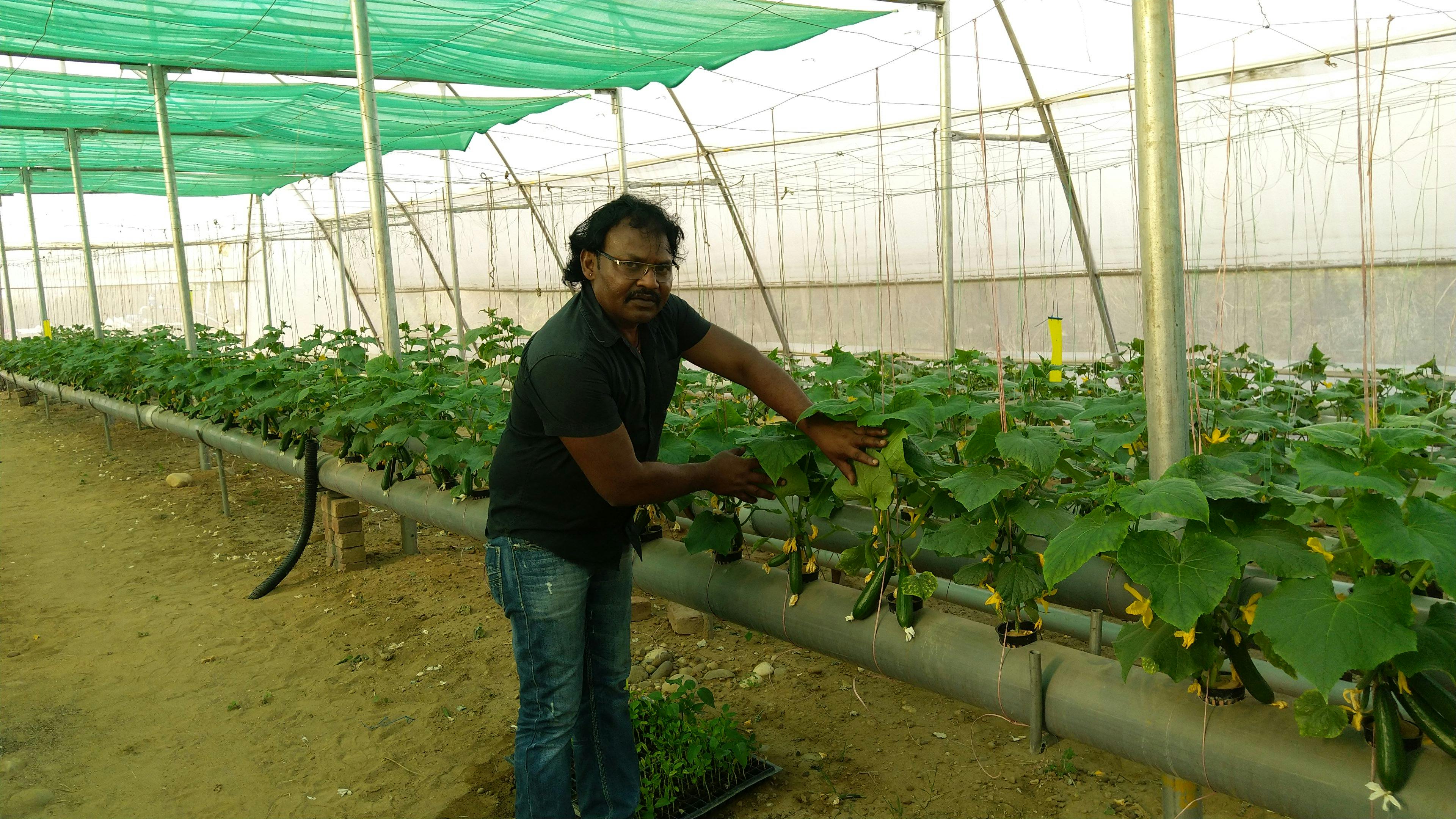 Environmental sustainability