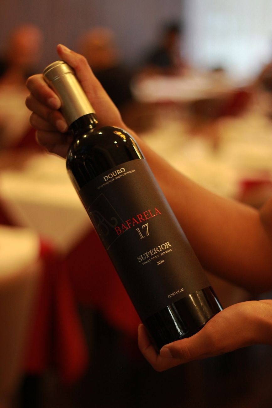 Algarve wine production expected to grow by up to 15% in 2026/2027, CVA estimates