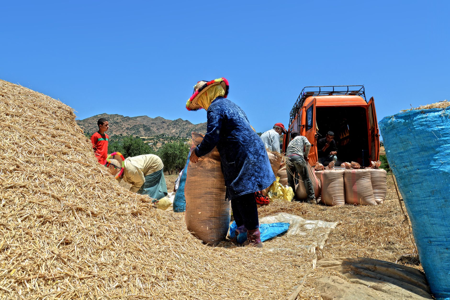 Atlas Mountain Trek with Berber Guide 2
