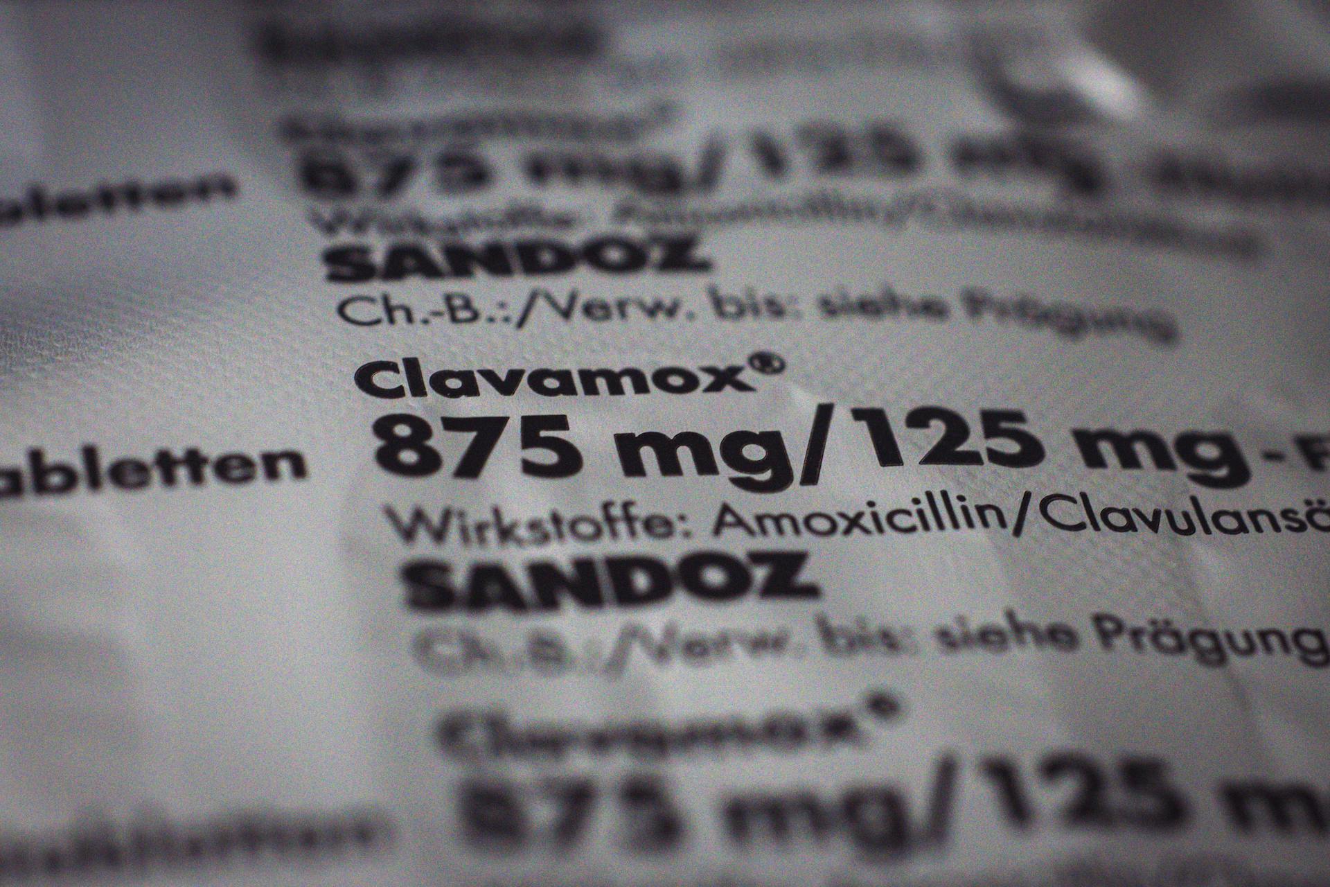 Close-up of a Clavamox package showing dosage and ingredients in focus.