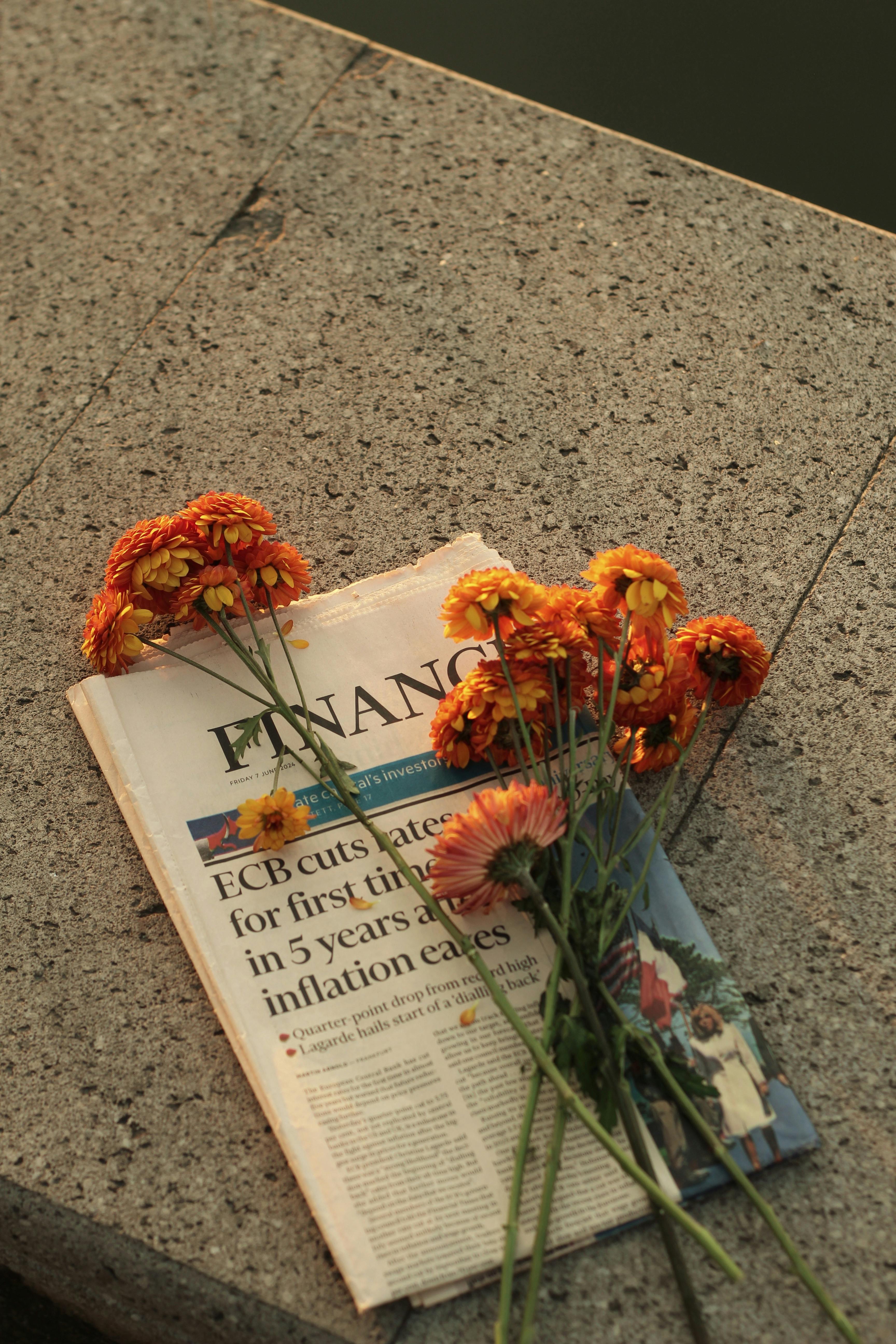 chrysanthemum flowers on financial newspaper