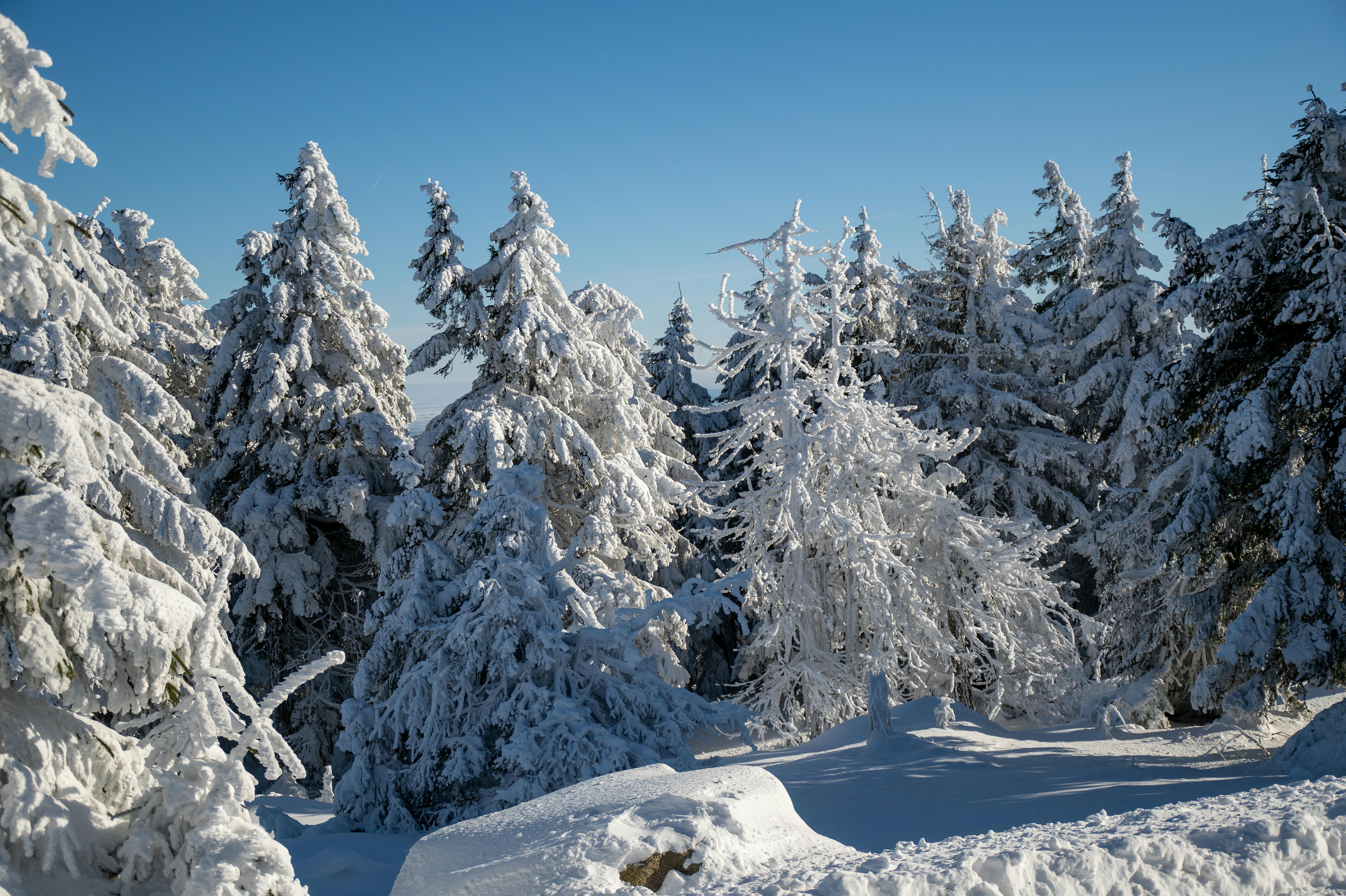 <span>Какво се изисква</span>