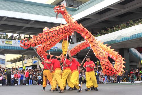 Free Colorful dragon dance performed during a lively outdoor Chinese festival celebration. Stock Photo