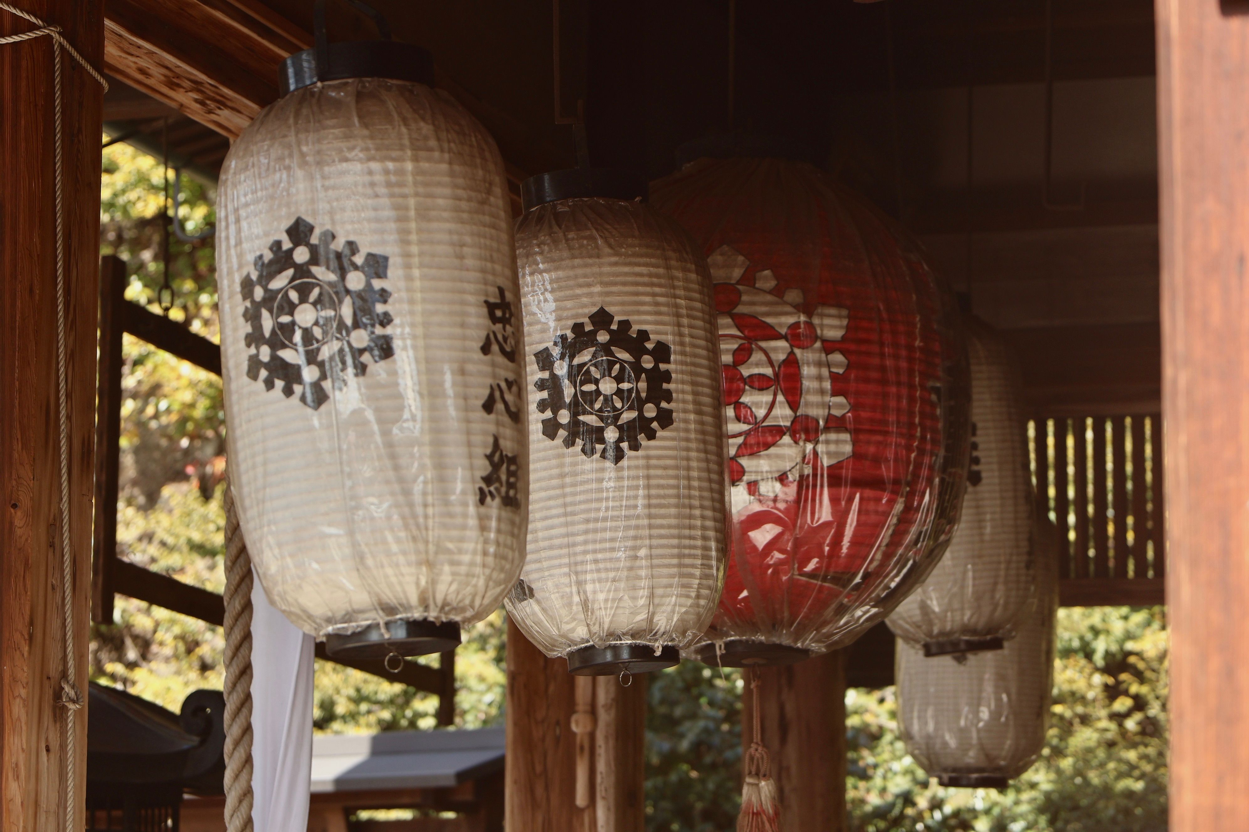 Kyoto Temples and Neighborhoods: A Self-Guided Itinerary for Three Days