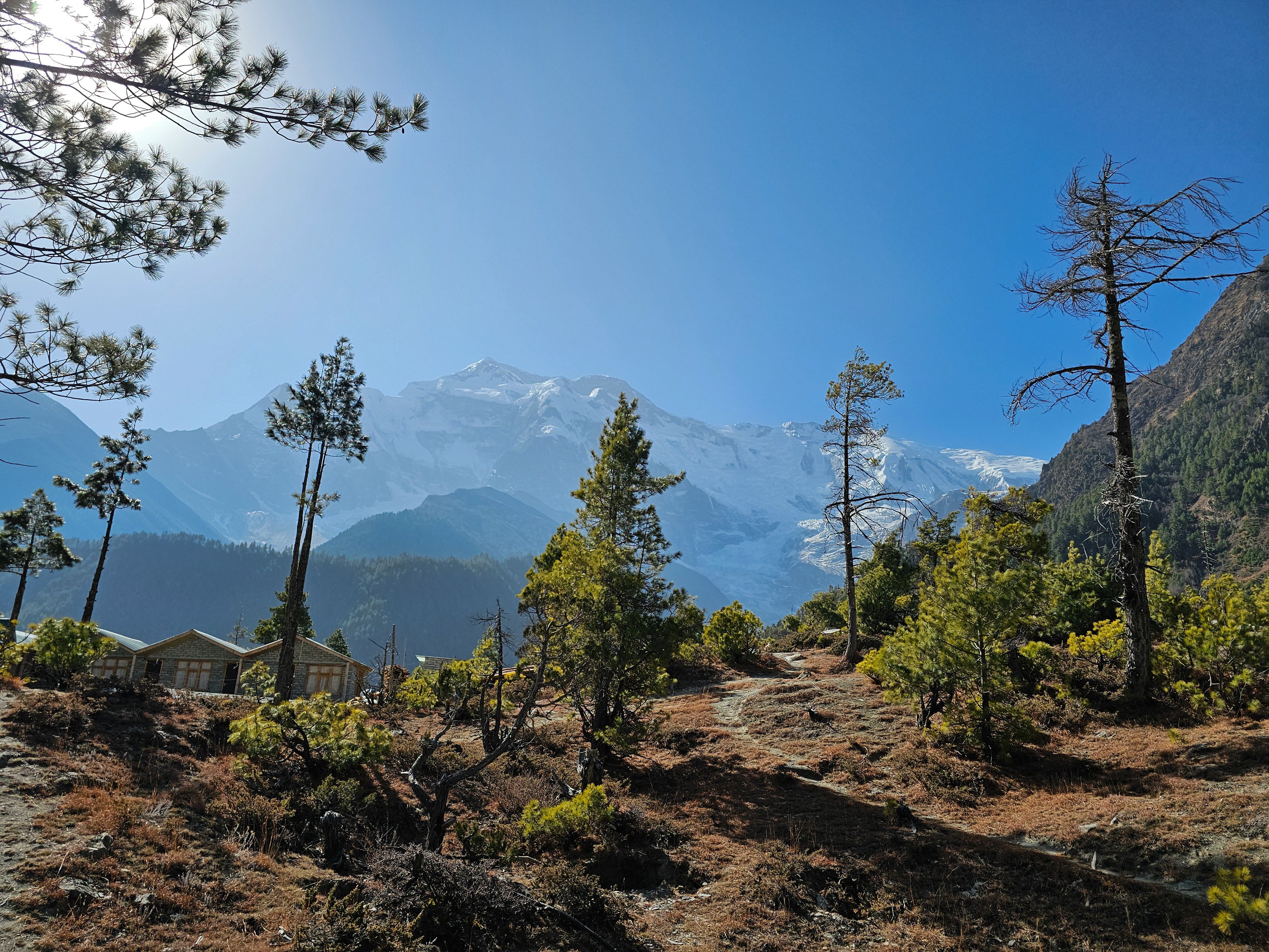 Expansive view of forests in Pisang with the Himalayas in the background under a clear sky.