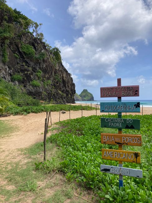 Beaches & Coastlines