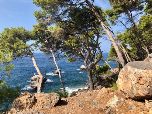 Free Scenic view of textured rocks and pine trees by a clear blue ocean on a sunny day. Stock Photo