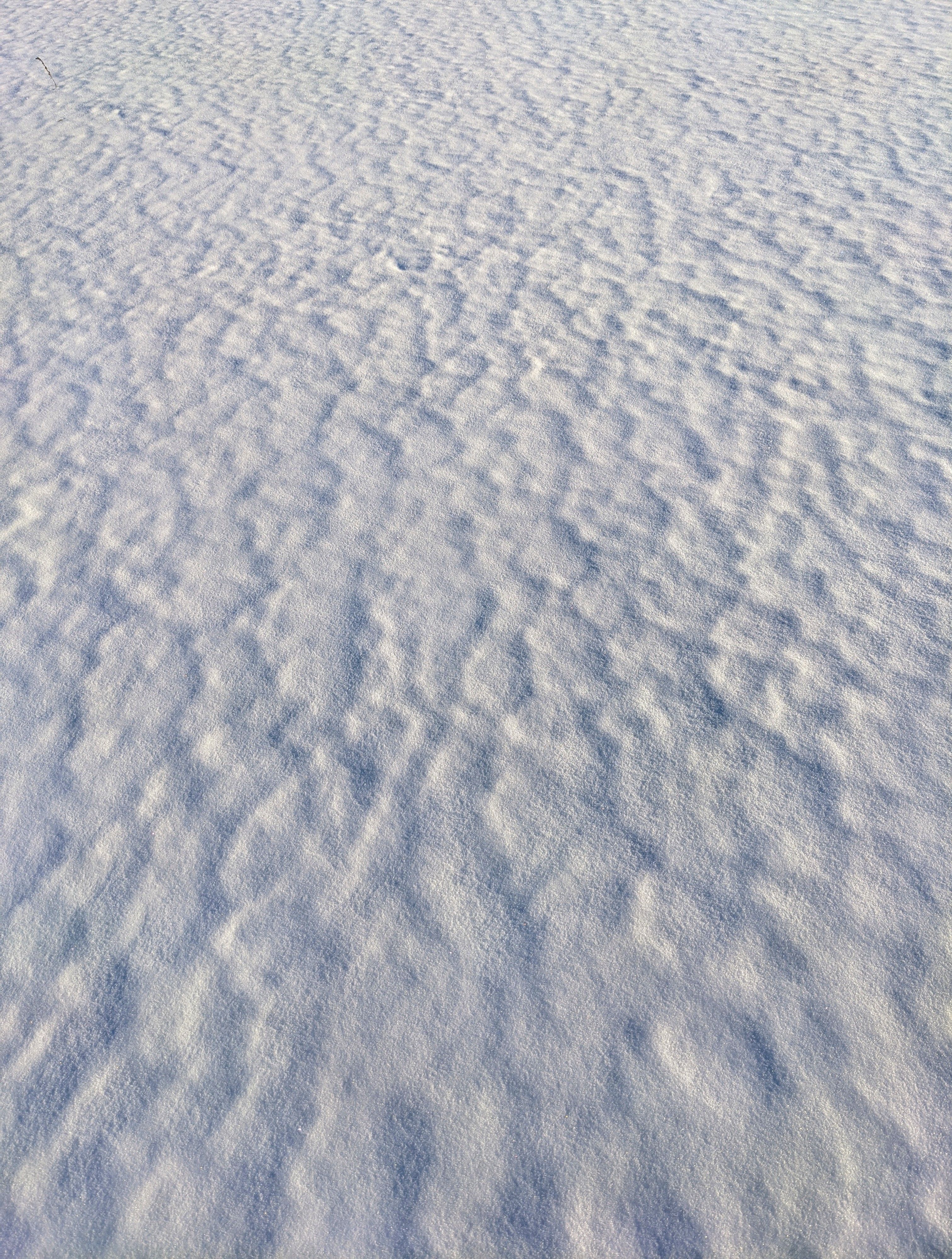 Pristine Snow Surface with Delicate Patterns · Free Stock Photo