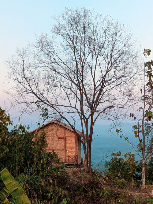 Free Idyllic wooden cabin beside bare tree against a clear sky and horizon. Stock Photo
