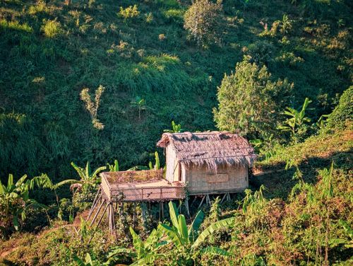 Free A bamboo hut perched in a vibrant hillside surrounded by banana plants. Stock Photo