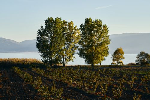 Free Peaceful lake view with lush trees and mountains in the distance under warm sunset light. Stock Photo