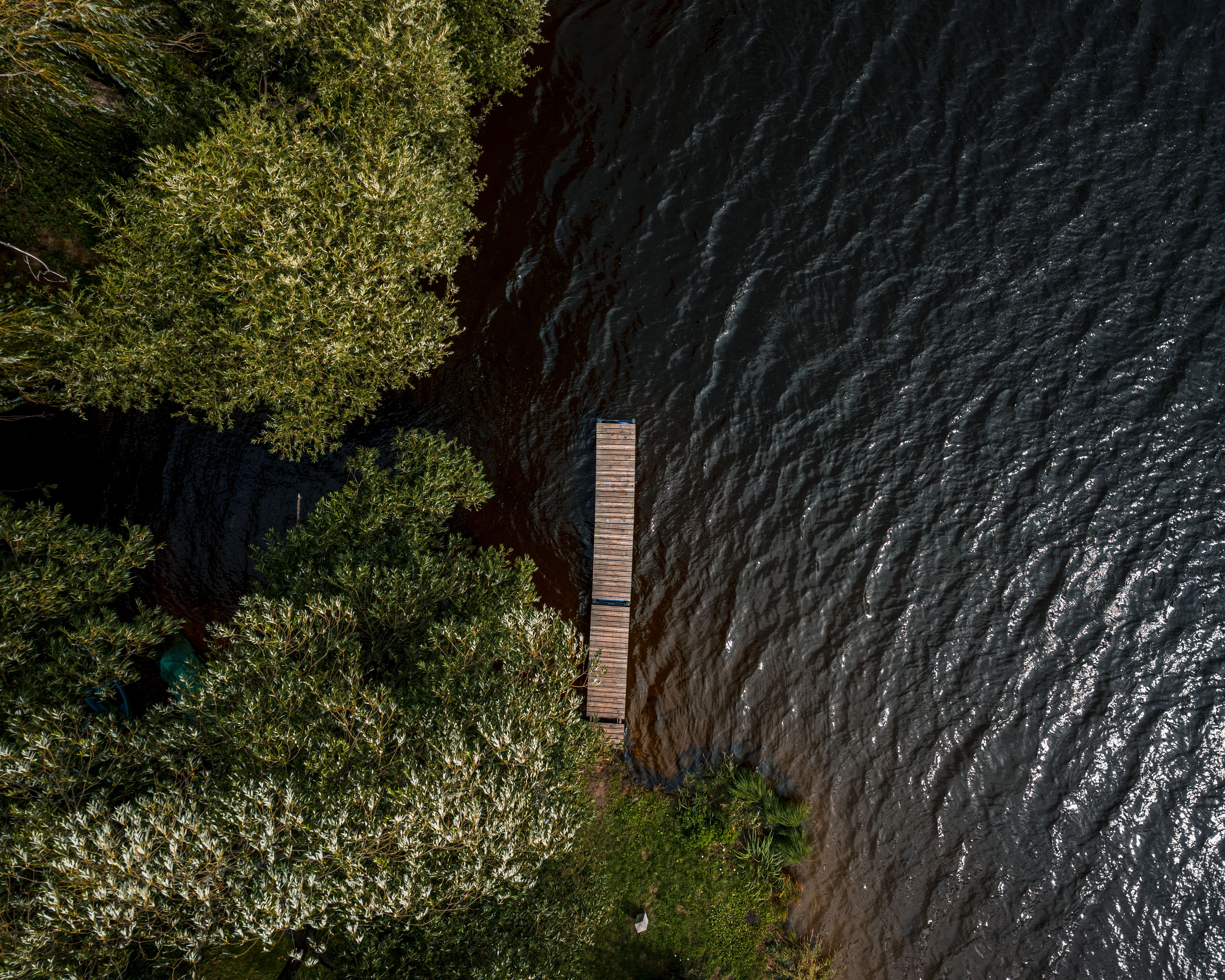 Aerial View of Wooden Dock by a Serene Lake · Free Stock Photo