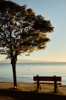 A serene view of a sunset by the lake with a tree and bench in the foreground.